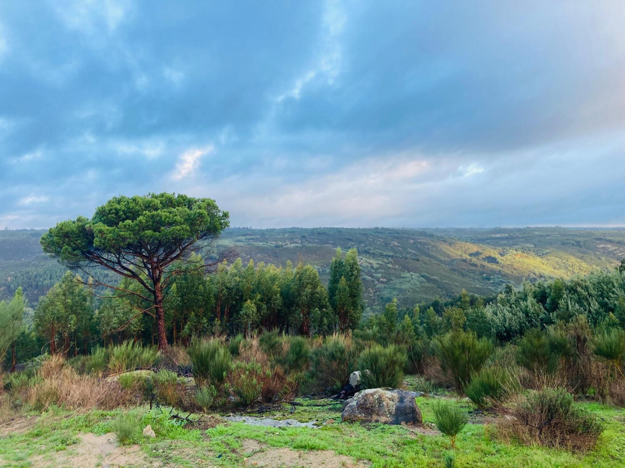 Casa Suasduas Villa Vila Cova de Alva Dış mekan fotoğraf