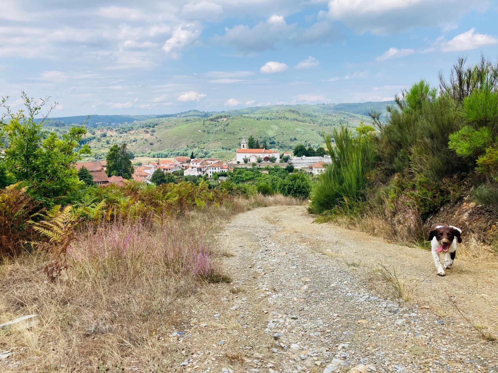 Casa Suasduas Villa Vila Cova de Alva Dış mekan fotoğraf