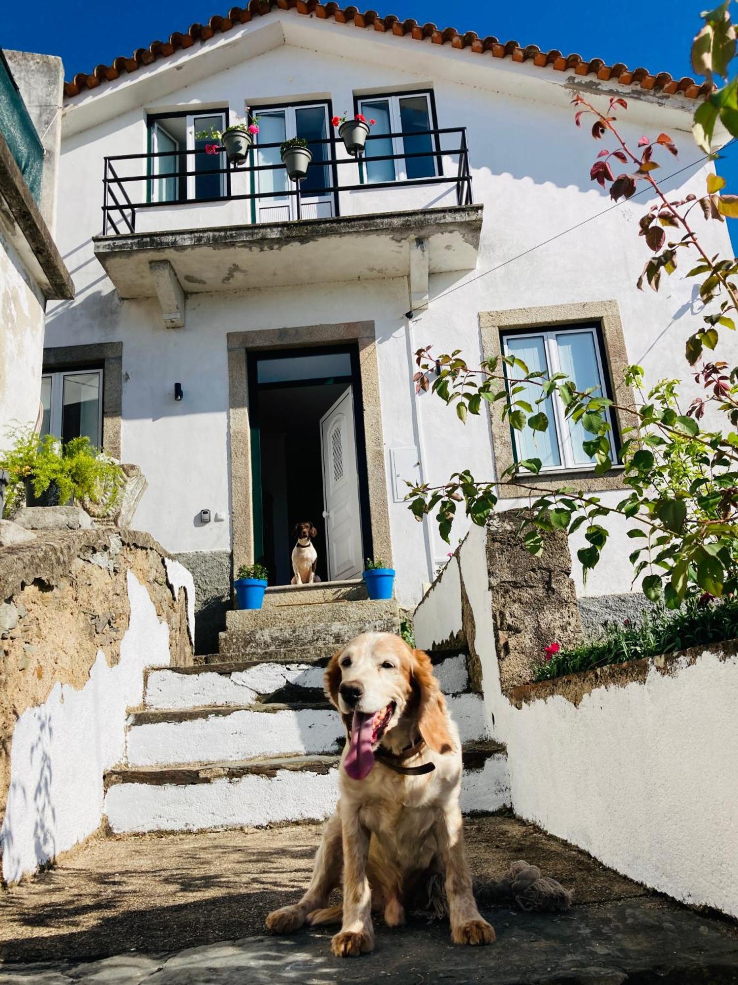 Casa Suasduas Villa Vila Cova de Alva Dış mekan fotoğraf